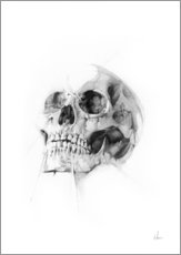 Gallery print  Skull - Alexis Marcou