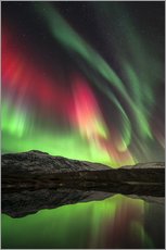 Wall sticker  Aurora borealis, Norway - Tommy Eliassen