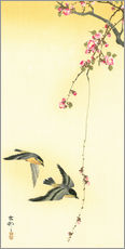 Wall sticker  Starlings and Cherry Tree - Ohara Koson