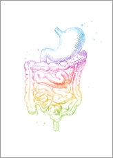 Gallery print  Rainbow intestines - Mod Pop Deco