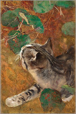 Gallery print  Cat - Bruno Andreas Liljefors