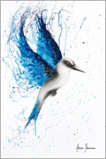 Poster Aussie Blue Bird