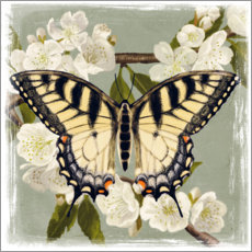 Poster Butterfly on a branch i