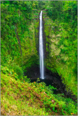 Poster Akaka Falls in Hawaii