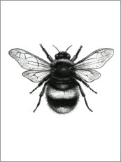 Poster Bumblebee