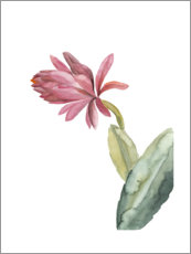 Gallery print  Blooming cactus in pink - Mantika Studio