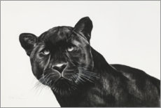 Wall sticker  Black Panther - Rose Corcoran