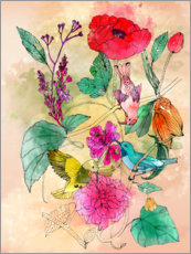 Poster Poppy and birds