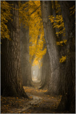 Poster Autumn path