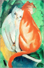 Gallery print  Cats, red and white - Franz Marc