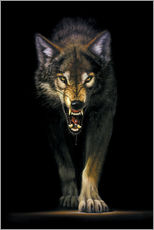 Gallery print  Stalking wolf - Chris Hiett