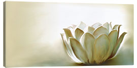 Canvas print  White lotus - Christine Ganz