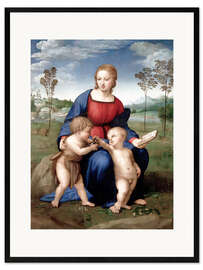 Framed art print  Madonna del Cardellino - Raffael