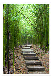 Poster Wooden path in the bamboo forest