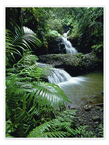 Poster Waterfall in Hawaii