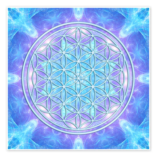 Poster Flower of Life - Dolphin Awareness