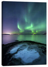 Canvas print  Aurora Borealis over Vagsfjorden - Arild Heitmann