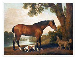 Poster Horse and Two Dogs