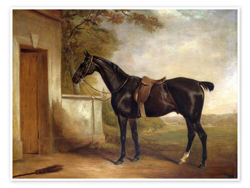 Poster Buckle, Lord Chesham's hunting horse, 1836