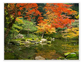 Poster Japanese garden in autumn with red maple tree
