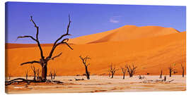 Canvas print  Dead Vlei, Namibia - wiw