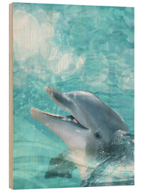 Wood print  Dolphin - Humor - Dolphins DreamDesign