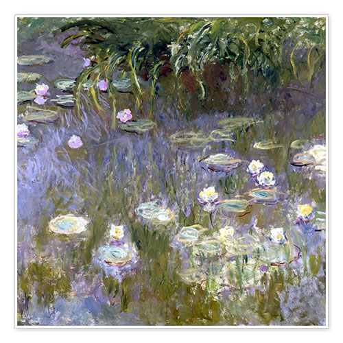 Poster Water Lilies II
