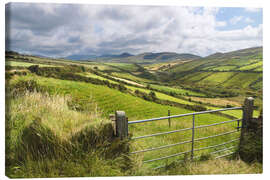 Canvas print  Green meadows near Dingle (Kerry, Ireland) - Christian Müringer