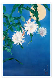 Poster  Moon Flower - Haruyo Morita