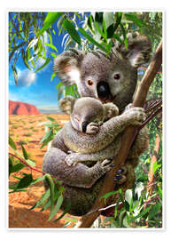 Poster  Koala and cub - Adrian Chesterman