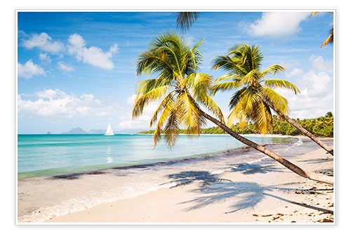 Poster Les Salines beach, Martinique