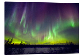 Acrylic print  Aurora borealis, Finland - Juerg Alean