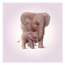 Poster Elephant & Calf