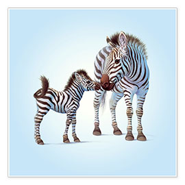 Poster Zebra & Foal