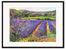 Framed art print  Lavender field - Timothy Easton