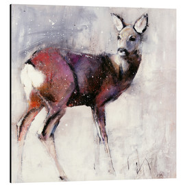 Aluminium print  Shy deer in the snow - Mark Adlington