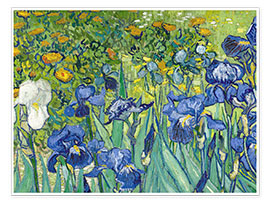 Poster  Irises - Vincent van Gogh