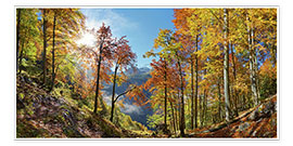 Poster Mountain forest in autumn