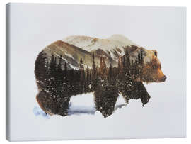 Canvas print  Arctic grizzly bear - Andreas Lie