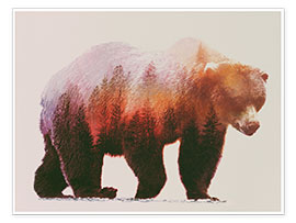 Poster  Brown bear - Andreas Lie