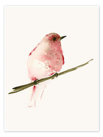 Poster  Rasberry red bird - Dearpumpernickel