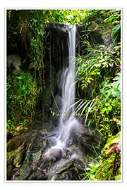 Poster Waterfall in Harz