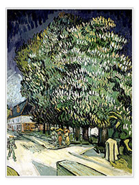 Poster Chestnut trees in Blossom