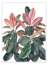 Poster  Rubber Plant - Micklyn Le Feuvre