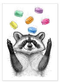 Poster  Raccoon and cookies - Nikita Korenkov