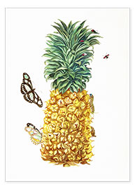 Poster pineapple