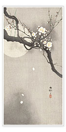 Poster Plum Blossoms at Night