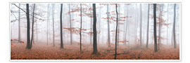 Poster Autumn panorama with red autumn leaves in the forest