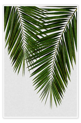 Poster Palm Leaf II