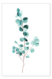 Poster  Eucalyptus - Goed Blauw